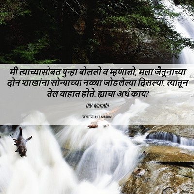 Picture 06 - जखऱ्या 4:12 MARIRV - मी त्याच्यासोबत - Bible Verse Picture