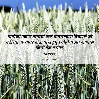 Picture 06 - दानिएल 12:6 MARIRV - त्यापैकी एकाने - Bible Verse Picture