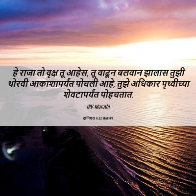 Picture 06 - दानिएल 4:22 MARIRV - हे राजा तो वृक्ष तू - Bible Verse Picture