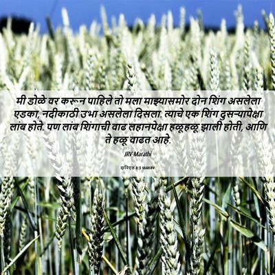 Picture 06 - दानिएल 8:3 MARIRV - मी डोळे वर करून - Bible Verse Picture