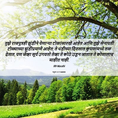 Picture 06 - नहूम 3:17 MARIRV - तुझे राजपुत्रही - Bible Verse Picture