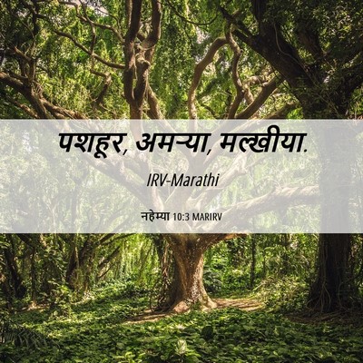 Picture 06 - नहेम्या 10:3 MARIRV - पशहूर, अमऱ्या, - Bible Verse Picture