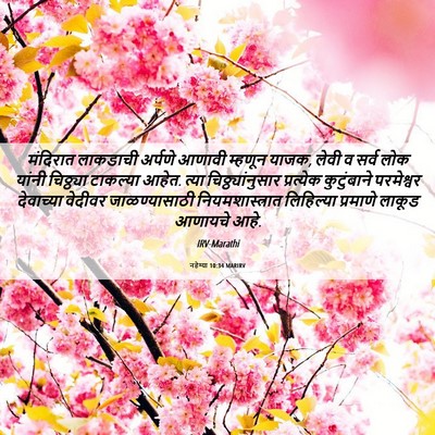 Picture 06 - नहेम्या 10:34 MARIRV - मंदिरात लाकडाची - Bible Verse Picture