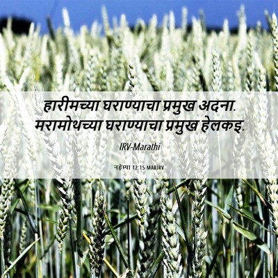 Picture 06 - नहेम्या 12:15 MARIRV - हारीमच्या - Bible Verse Picture