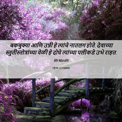 Picture 06 - नहेम्या 12:9 MARIRV - बकबुक्या आणि - Bible Verse Picture
