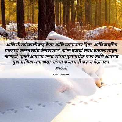 Picture 06 - नहेम्या 13:25 MARIRV - आणि मी - Bible Verse Picture
