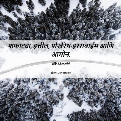 Picture 06 - नहेम्या 7:59 MARIRV - शफाट्या, हत्तील, - Bible Verse Picture