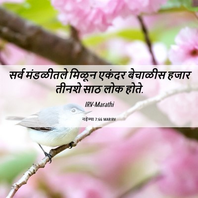 Picture 06 - नहेम्या 7:66 MARIRV - सर्व मंडळीतले - Bible Verse Picture
