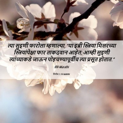 Picture 06 - निर्गम 1:19 MARIRV - त्या सुइणी फारोला - Bible Verse Picture