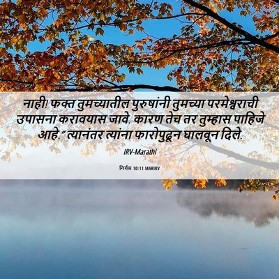Picture 06 - निर्गम 10:11 MARIRV - नाही! फक्त - Bible Verse Picture