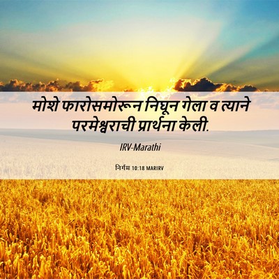 Picture 06 - निर्गम 10:18 MARIRV - मोशे फारोसमोरून - Bible Verse Picture