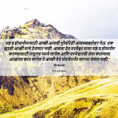 Picture 06 - निर्गम 10:26 MARIRV - यज्ञ व - Bible Verse Picture