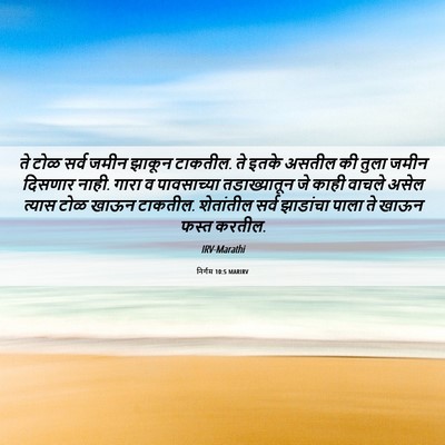 Picture 06 - निर्गम 10:5 MARIRV - ते टोळ सर्व जमीन - Bible Verse Picture