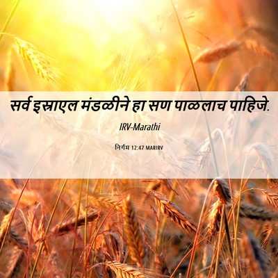 Picture 06 - निर्गम 12:47 MARIRV - सर्व इस्राएल - Bible Verse Picture