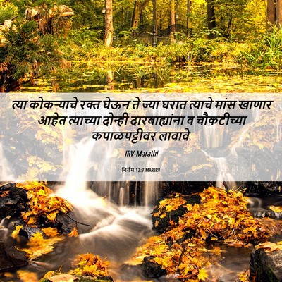 Picture 06 - निर्गम 12:7 MARIRV - त्या कोकऱ्याचे - Bible Verse Picture