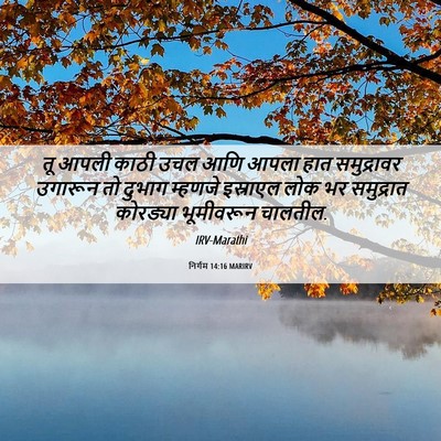 Picture 06 - निर्गम 14:16 MARIRV - तू आपली काठी उचल - Bible Verse Picture