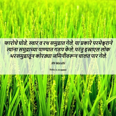 Picture 06 - निर्गम 15:19 MARIRV - फारोचे घोडे, स्वार - Bible Verse Picture