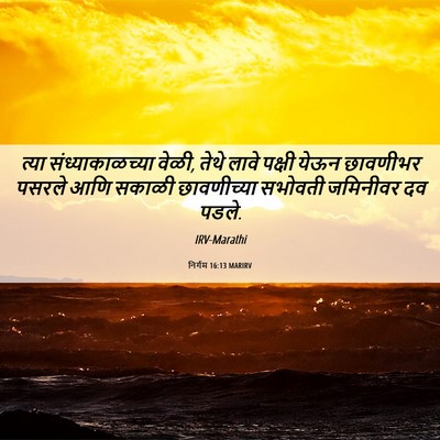 Picture 06 - निर्गम 16:13 MARIRV - त्या - Bible Verse Picture