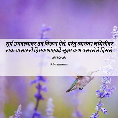Picture 06 - निर्गम 16:14 MARIRV - सूर्य उगवल्यावर - Bible Verse Picture