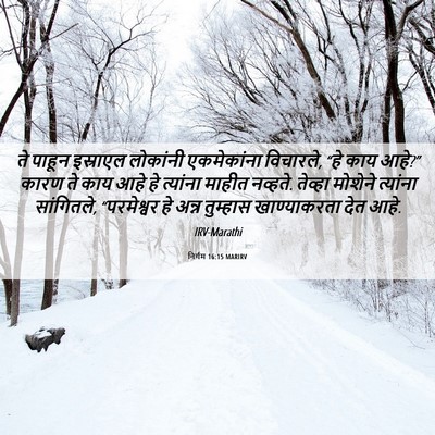 Picture 06 - निर्गम 16:15 MARIRV - ते पाहून इस्राएल - Bible Verse Picture