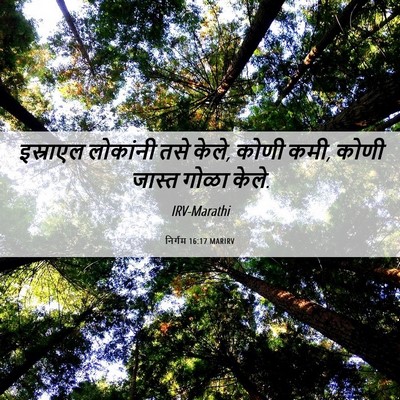 Picture 06 - निर्गम 16:17 MARIRV - इस्राएल लोकांनी - Bible Verse Picture