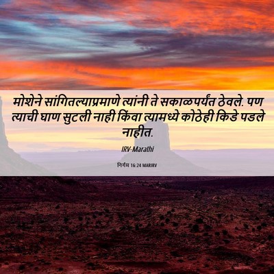 Picture 06 - निर्गम 16:24 MARIRV - मोशेने - Bible Verse Picture