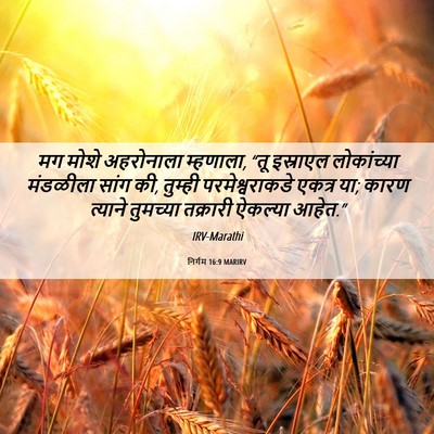 Picture 06 - निर्गम 16:9 MARIRV - मग मोशे अहरोनाला - Bible Verse Picture