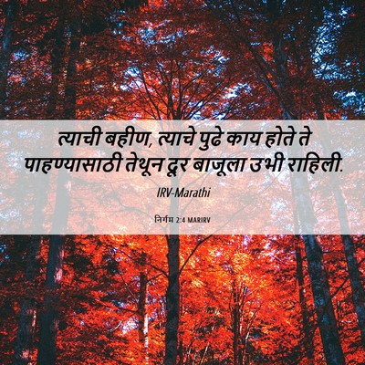 Picture 06 - निर्गम 2:4 MARIRV - त्याची बहीण, - Bible Verse Picture