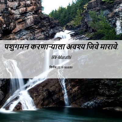 Picture 06 - निर्गम 22:19 MARIRV - पशुगमन करणाऱ्याला - Bible Verse Picture