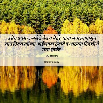 Picture 06 - निर्गम 22:30 MARIRV - तसेच प्रथम - Bible Verse Picture