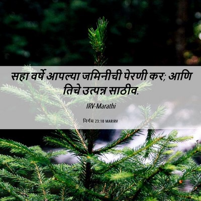 Picture 06 - निर्गम 23:10 MARIRV - सहा वर्षे आपल्या - Bible Verse Picture