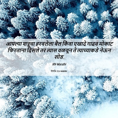 Picture 06 - निर्गम 23:4 MARIRV - आपल्या शत्रूचा - Bible Verse Picture