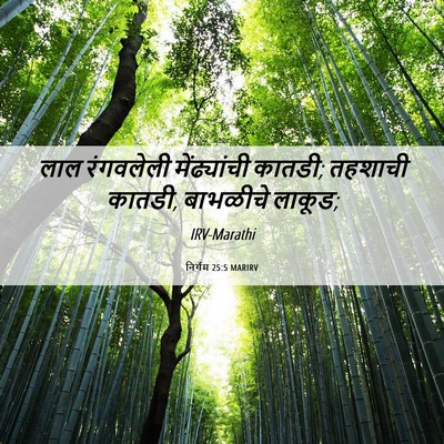 Picture 06 - निर्गम 25:5 MARIRV - लाल रंगवलेली - Bible Verse Picture