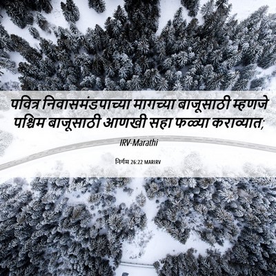 Picture 06 - निर्गम 26:22 MARIRV - पवित्र - Bible Verse Picture