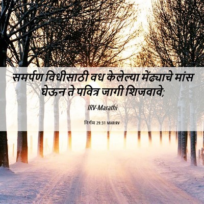 Picture 06 - निर्गम 29:31 MARIRV - समर्पण विधीसाठी - Bible Verse Picture
