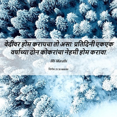 Picture 06 - निर्गम 29:38 MARIRV - वेदीवर होम करायचा - Bible Verse Picture
