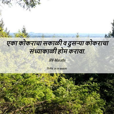 Picture 06 - निर्गम 29:39 MARIRV - एका कोकराचा सकाळी - Bible Verse Picture
