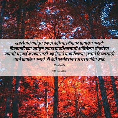 Picture 06 - निर्गम 30:10 MARIRV - अहरोनाने वर्षातून - Bible Verse Picture