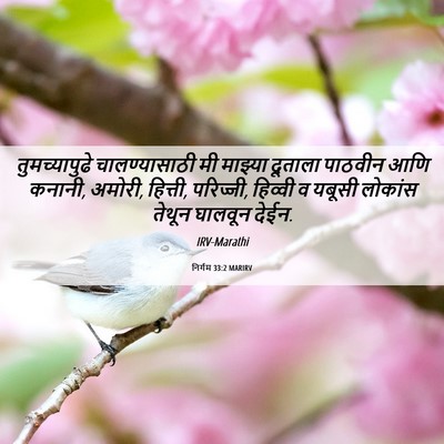 Picture 06 - निर्गम 33:2 MARIRV - तुमच्यापुढे - Bible Verse Picture
