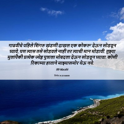 Picture 06 - निर्गम 34:20 MARIRV - गाढवीचे पहिले - Bible Verse Picture