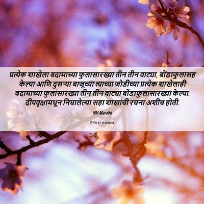 Picture 06 - निर्गम 37:19 MARIRV - प्रत्येक शाखेला - Bible Verse Picture