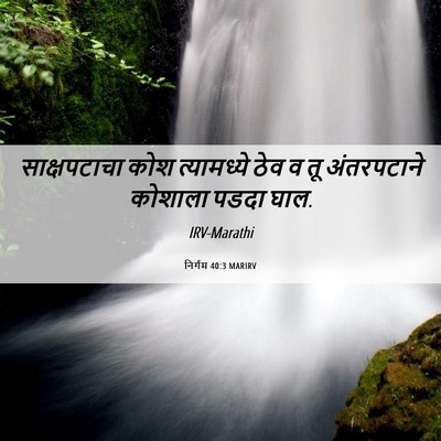 Picture 06 - निर्गम 40:3 MARIRV - साक्षपटाचा कोश - Bible Verse Picture