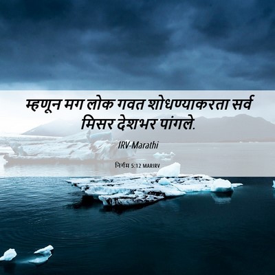 Picture 06 - निर्गम 5:12 MARIRV - म्हणून मग लोक गवत - Bible Verse Picture