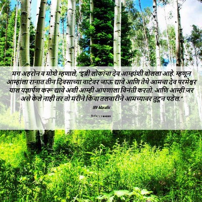 Picture 06 - निर्गम 5:3 MARIRV - मग अहरोन व मोशे - Bible Verse Picture
