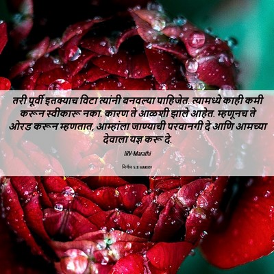 Picture 06 - निर्गम 5:8 MARIRV - तरी पूर्वी - Bible Verse Picture