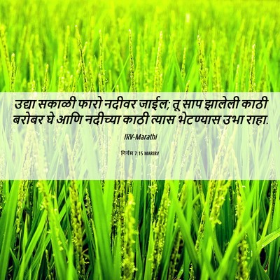Picture 06 - निर्गम 7:15 MARIRV - उद्या सकाळी फारो - Bible Verse Picture