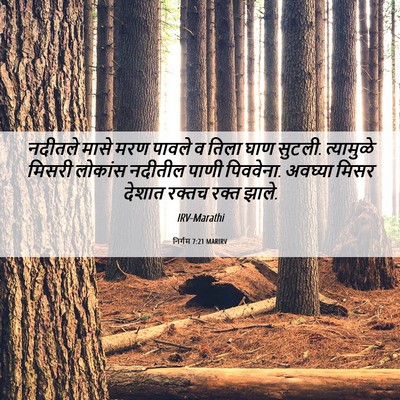 Picture 06 - निर्गम 7:21 MARIRV - नदीतले मासे मरण - Bible Verse Picture