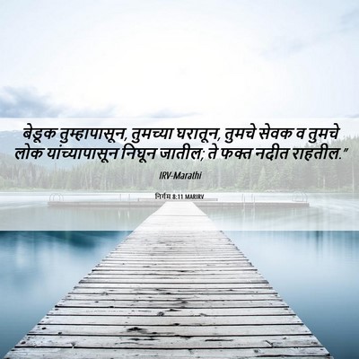 Picture 06 - निर्गम 8:11 MARIRV - बेडूक - Bible Verse Picture