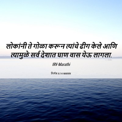 Picture 06 - निर्गम 8:14 MARIRV - लोकांनी ते गोळा - Bible Verse Picture
