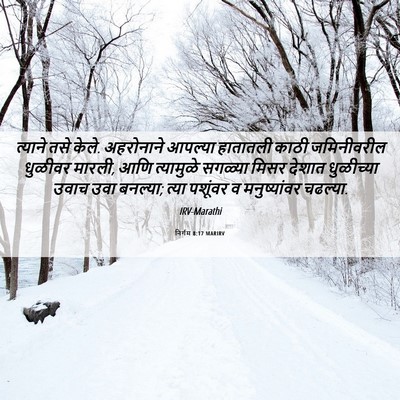 Picture 06 - निर्गम 8:17 MARIRV - त्याने तसे केले. - Bible Verse Picture
